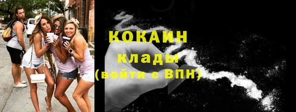 мдпв Волосово