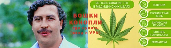 спайс Болотное