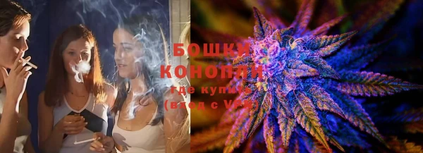 мдпв Волосово