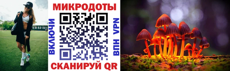 Псилоцибиновые грибы прущие грибы  где купить наркоту  Гаврилов-Ям 